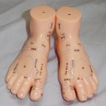 13cm 按摩足模型(小).jpg