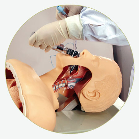 GD-J50高級人體氣管插管訓(xùn)練模型 2.jpg